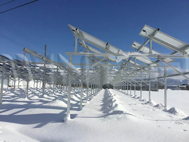 solar farm mount system