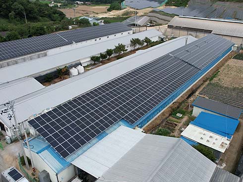 Korea Solar Panel Tin Roof Mount Case 99.84kw