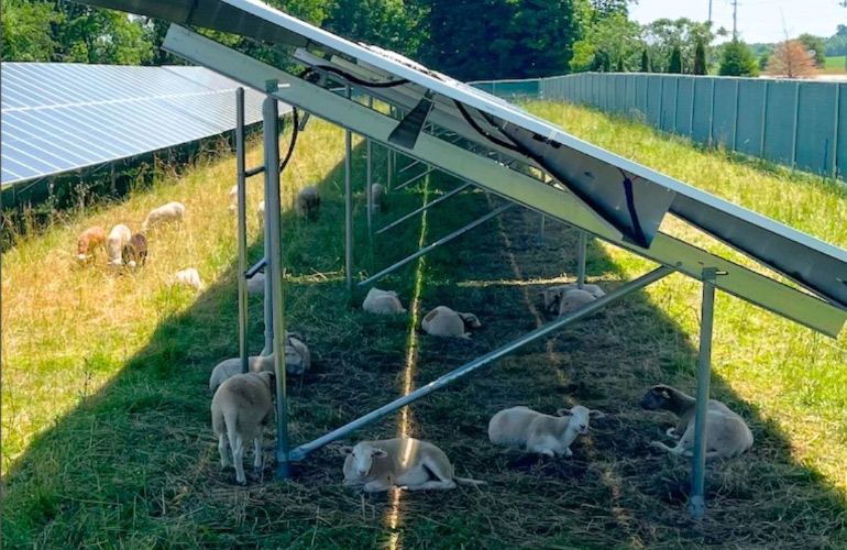 GreenSpark and Encore launch 13 MW agricultural photovoltaic community solar product portfolio