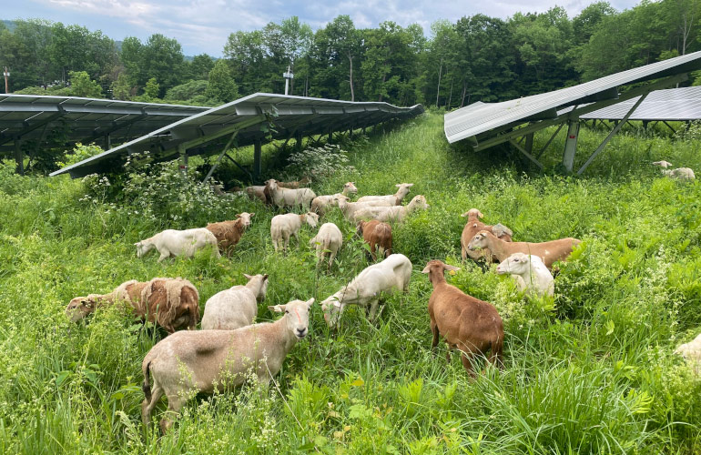 New Jersey Approves 16 Farm Solar Projects