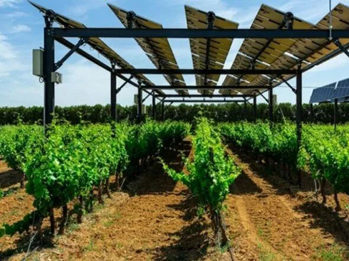 France defines agricultural photovoltaic standards