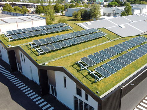 French startups provide new solutions for green solar roofs