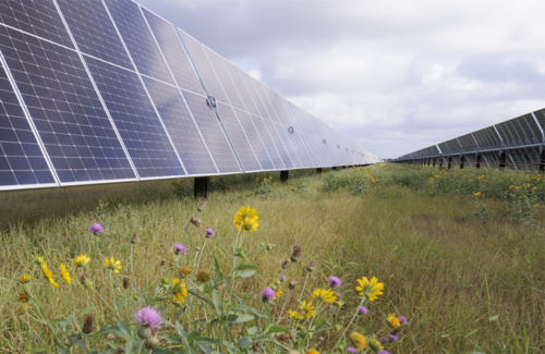 Embry is developing a 365 MW solar + storage project for Meta's data center