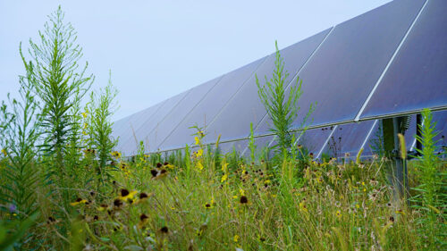 National Grid Renewable Energy Company launches 117 MW solar project in Ohio