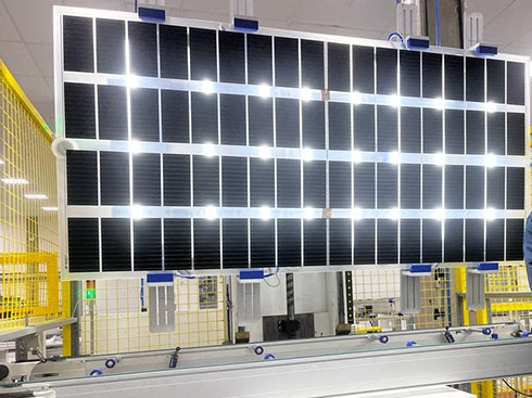 BYD launches new agricultural photovoltaic module