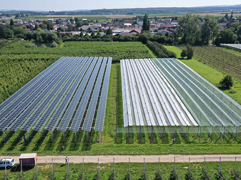 European Photovoltaic Industry Association releases new agricultural photovoltaic guidelines