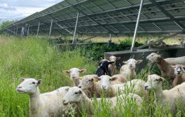 Encore Renewable Energy collaborates with GreenSpark Solar on agricultural photovoltaic projects