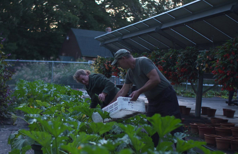 The developer of the agricultural-photovoltaic complementation has introduced the Stanford modeling platform internally to better construct the solar + crop system