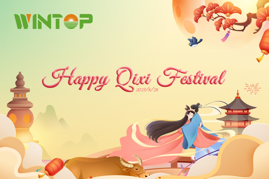 Chinese Festival: Qixi Festival