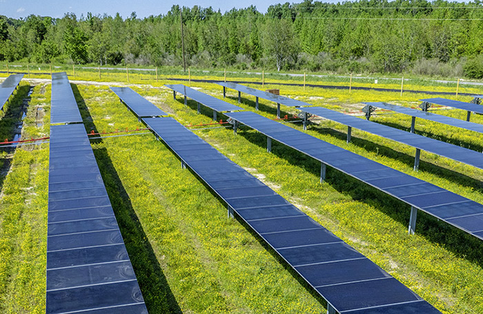Meta signs PPAs for 172 MW of solar power in Louisiana