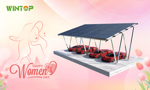 Wintop wishes all women in the world a happy International Women's Day!