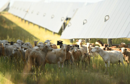 Ohio State Power Department cancels 94 MW agricultural photovoltaic project